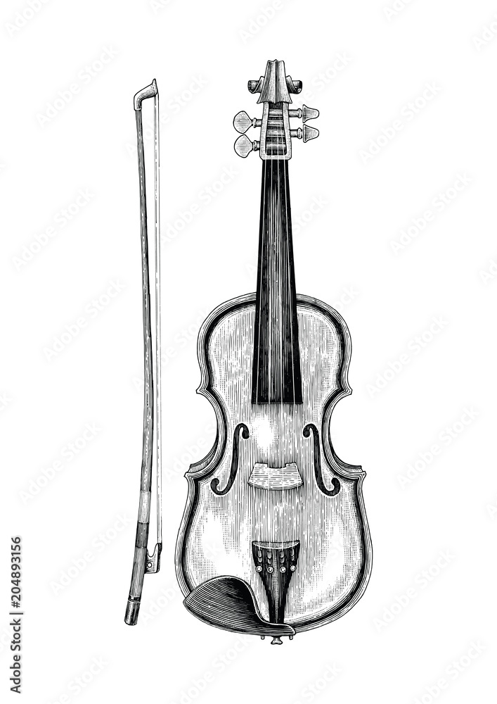 Violin hand skecth vintage style