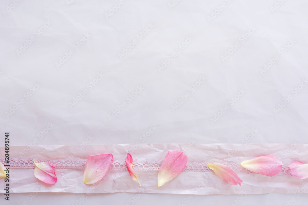 Rose petals decorated on pink background Rose petals decorated on pink background
