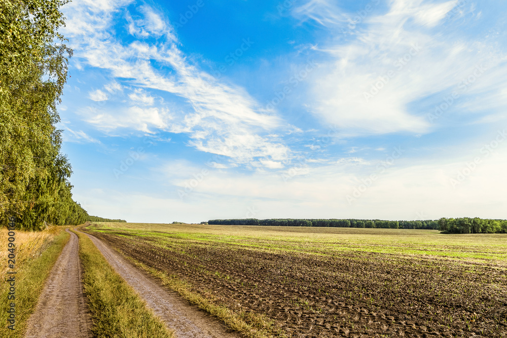 Countryside landscape. Field with removed harvested crop under the blue sky. Country dirt road in the field. Belgorod region, Russia.