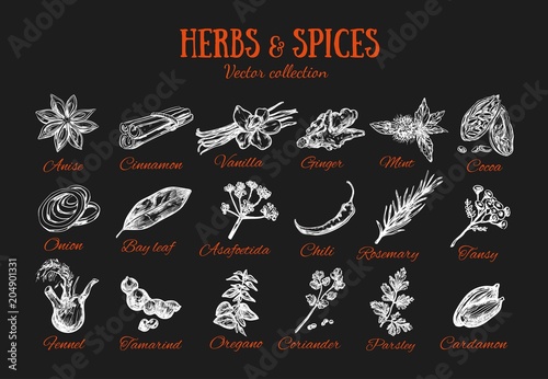 Herbs and Spices condiments 3