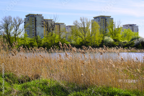 Warsaw, Poland - Czerniakowskie Lake nature reserve in Czerniakow quarter of Warsaw with residential developments in background photo