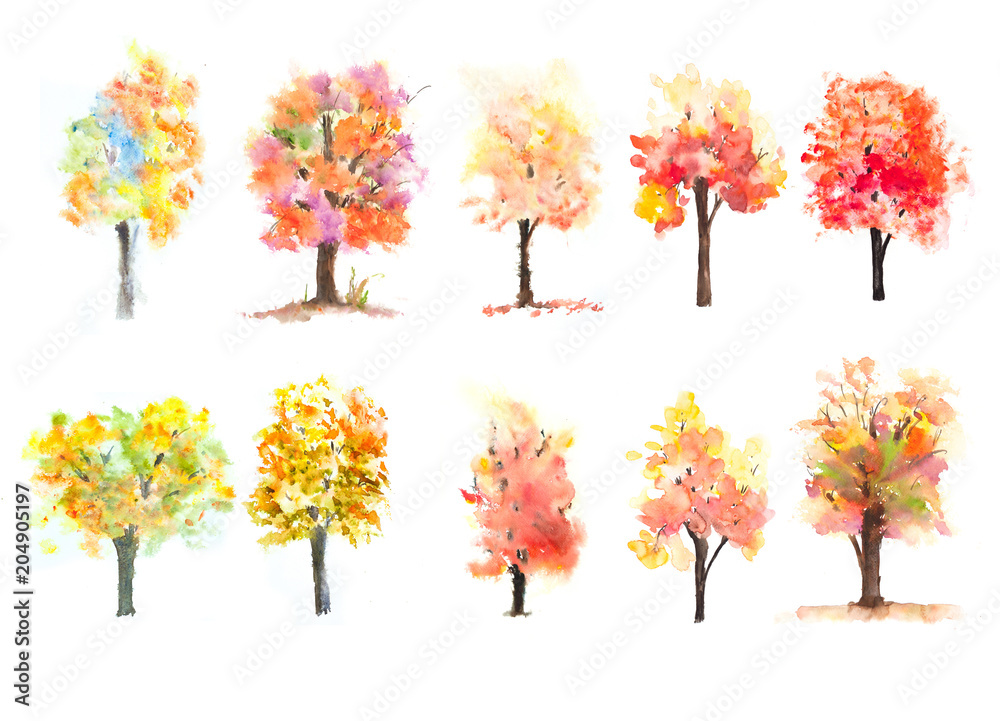Set of ten autumn trees on white background, watercolor illustrator , hand painted