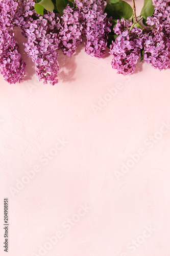 Spring purple lilac blooming branches over pink pastel background. Holiday or wedding greeting card. Copy space. Floral background. Toned image