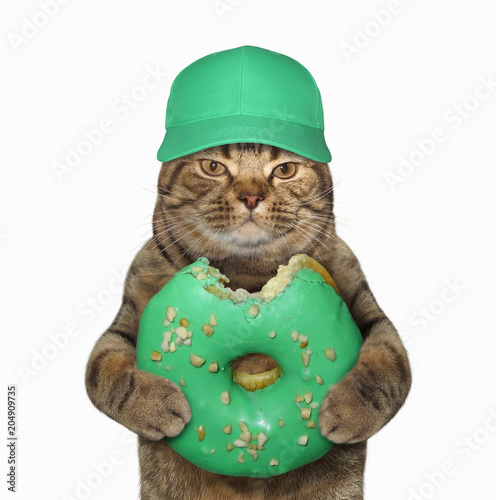 The cat in a cap holds a big green bitten donut. White background.