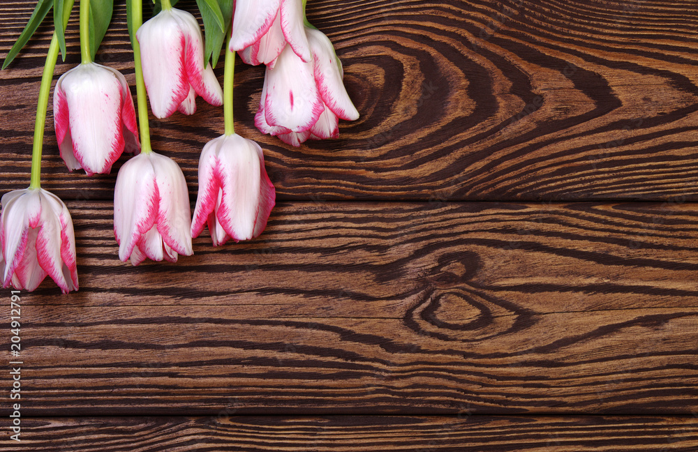 Beautiful pink tulips on wood  background