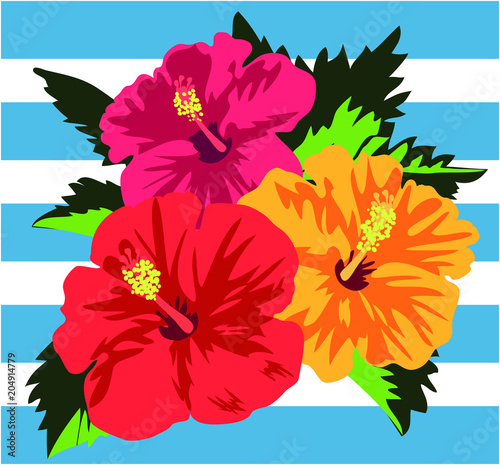Vector illustration of tropical red hibiscus flowers with leaves on blue border background