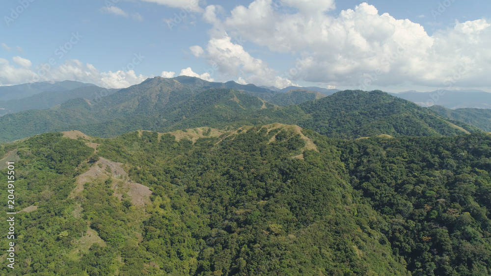 Plakat Widok z lotu ptaka góry pokryte zielonym lasem, drzewa z błękitnego nieba. Stoki gór z tropikalnym lasem. Filipiny, Luzon. Tropikalny krajobraz w Azji.