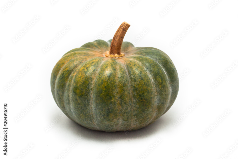 Colorful pumpkin and squash green Colorful pumpkin and squash green
