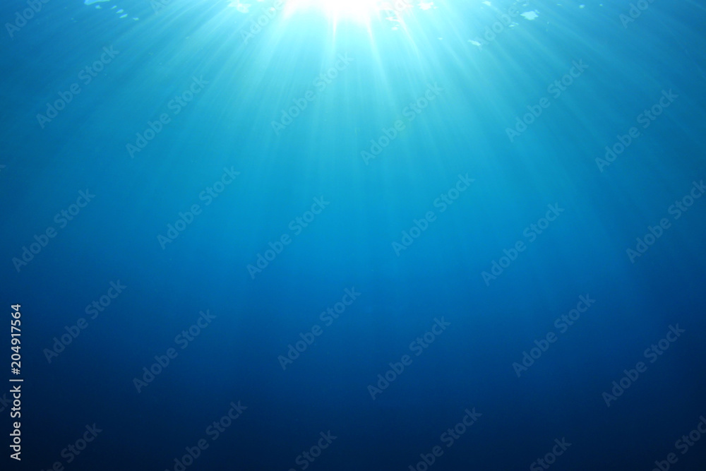 Obraz premium Underwater