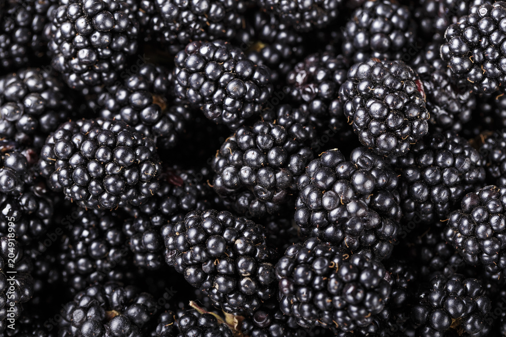 Blackberry close-up background Blackberry close-up background