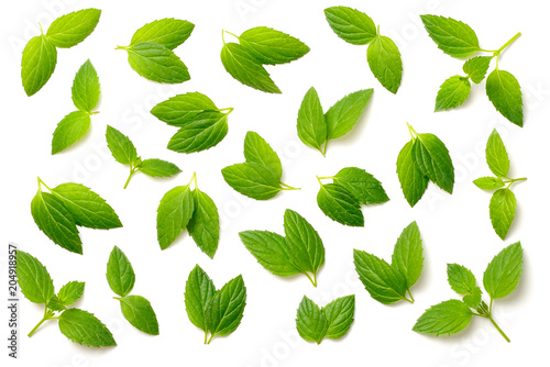 collection of fresh peppermint leaves isolated on white, top view
