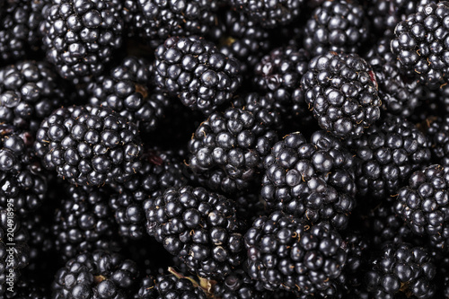 Blackberry close-up background
