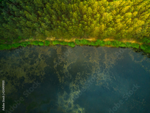 Aerial top down view over forest and lake