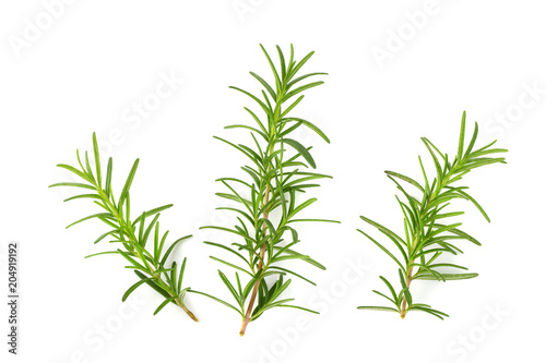 Fototapeta Naklejka Na Ścianę i Meble -  Fresh raw Rosemary isolated on a white background