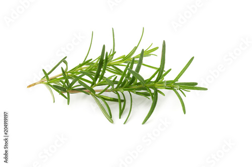 Fresh raw Rosemary isolated on a white background