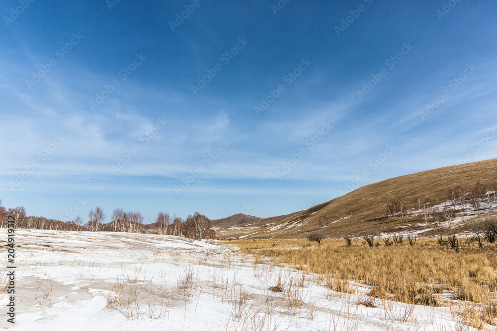 winter landscape in winter