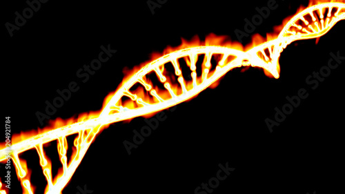 Dna, elica di Dna infuocata, acido desossiribonucleico è un acido nucleico che contiene le informazioni genetiche per il corretto funzionamento degli organismi viventi. Fiamme e fuoco
 photo