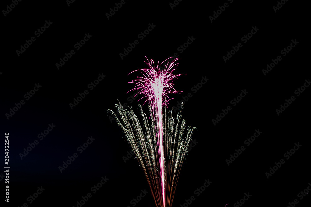 Fireworks in the Night Sky