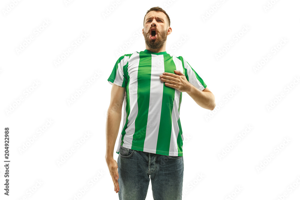 Irish fan celebrating on white background Irish fan celebrating on white background