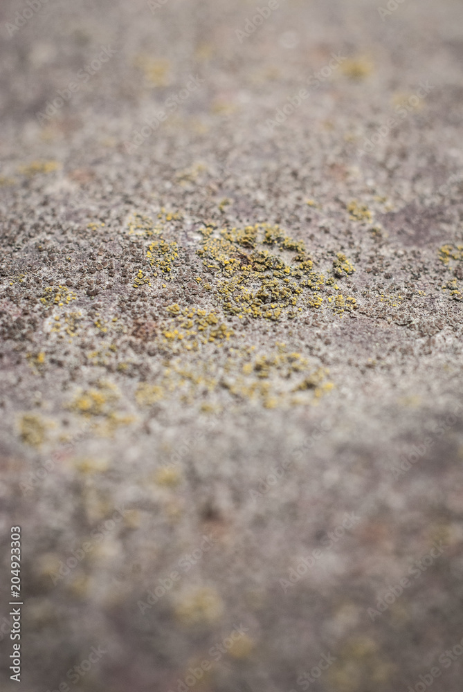 old metal texture element macro old metal texture element macro