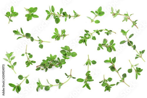 Fresh thyme spice isolated on white background. Top view. Flat lay pattern