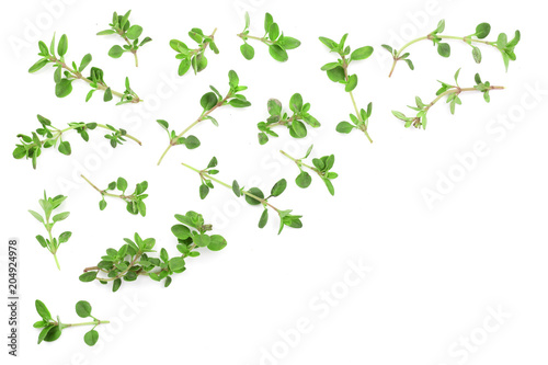 Fresh thyme spice isolated on white background with copy space for your text. Top view. Flat lay pattern