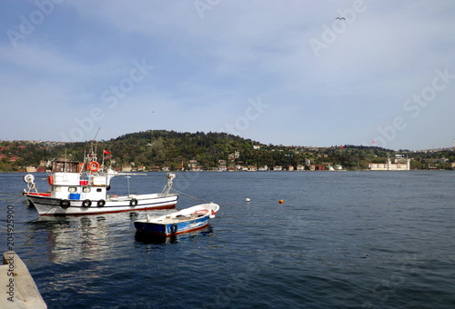 Istanbul Bosphorus view, Arnavutkoy Bebek beach photo
