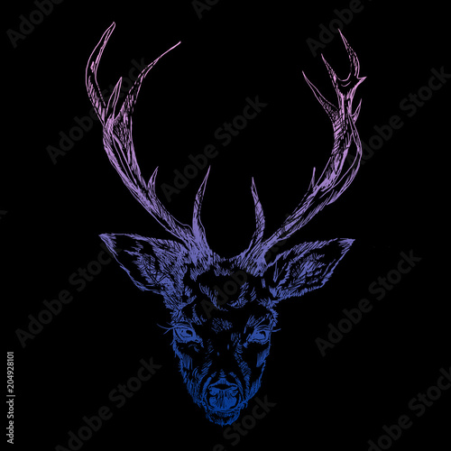 A young deer with horny horns on which peonies are planted. Illustration. Design a tattoo, a symbol of mystical magic for your use.