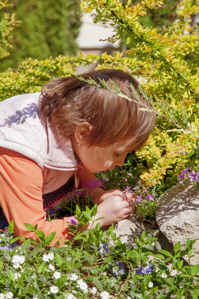 Little child girl enjoys the smell of flowers on the yellow field (Recreation, summer, nature, vacation concept) Little child girl enjoys the smell of flowers on the yellow field (Recreation, summer, nature, vacation concept)