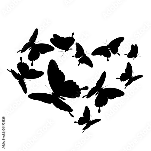 black butterflies heart, isolated on a white