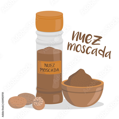 Vector nutmeg illustration isolated in cartoon style. Spanish name. Herbs and Species Series