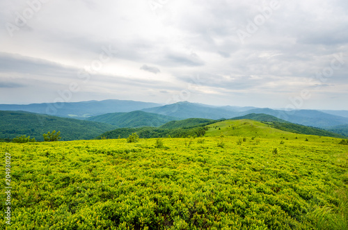 Fototapeta Naklejka Na Ścianę i Meble -  Zielone Bieszczady