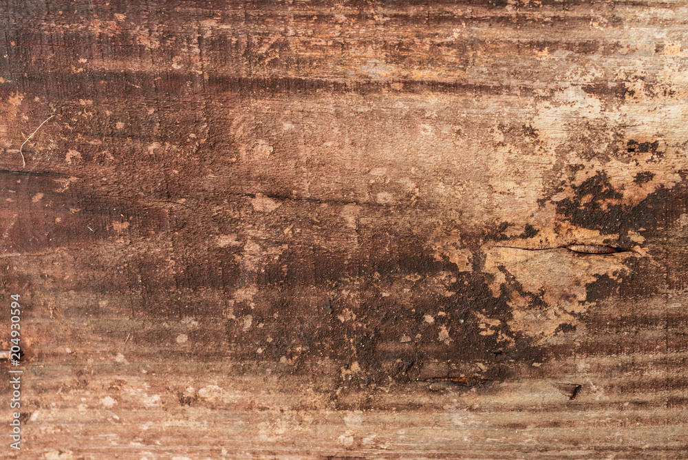 Wooden texture with scratches and cracks Wooden texture with scratches and cracks