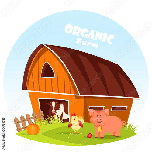 Cow at barn and pig at farm yard