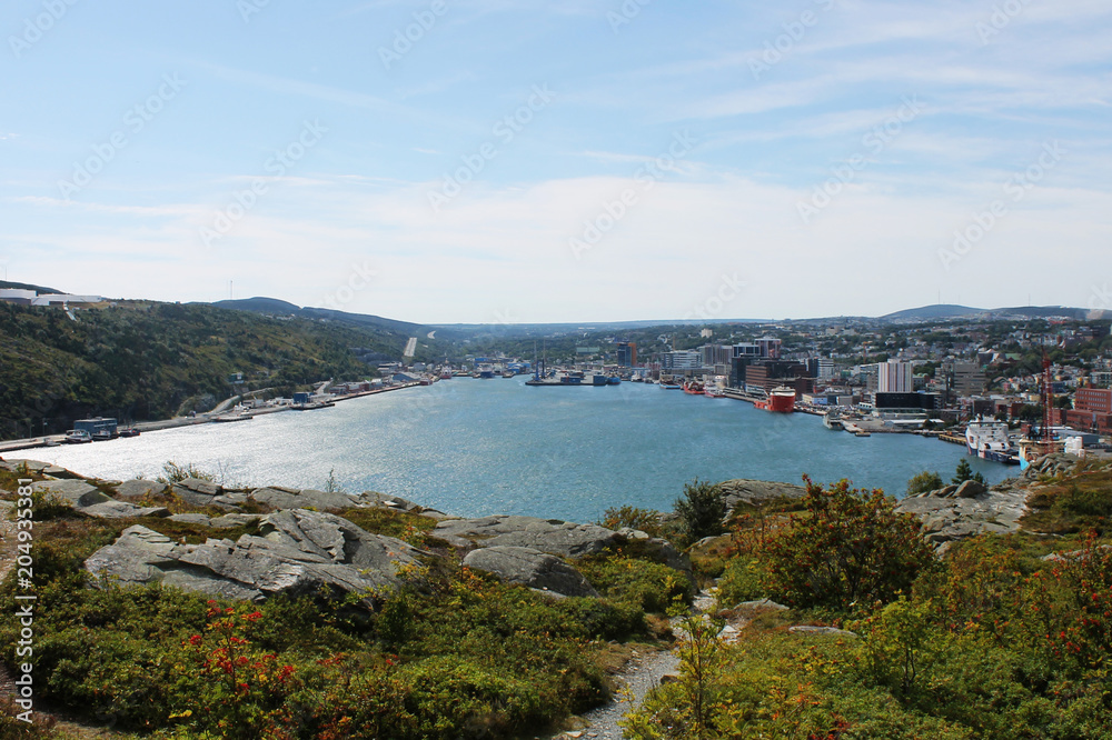 Looking out over St. John's Harbour and the city of St. John's, from Signal Hill, St. John's, Newfoundland Labrador, Canada. Hill side and green foliage in the foreground.