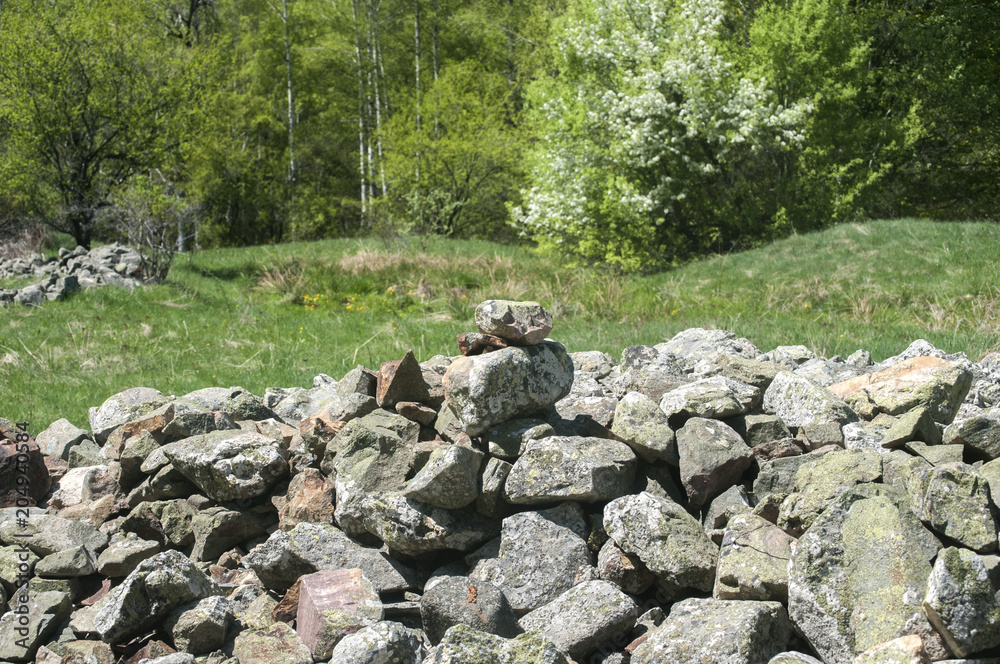 Mountain meadow with mossy piled stones in springtime as natural background
