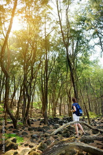 Female tourist enjoying stunning view of densy pine forest of Pololu Valley on Big Island of Hawaii