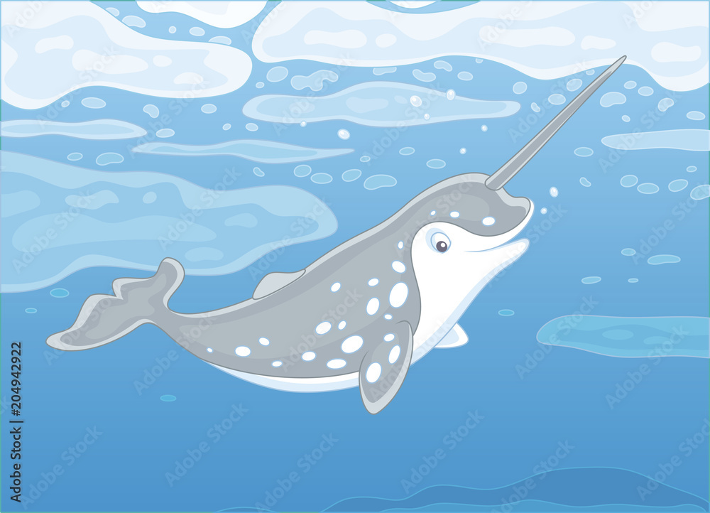 Fototapeta premium Grey spotted narwhal with a long tusk swimming under ice in blue water of a polar sea, vector illustration in a cartoon style