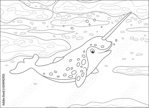 Spotted narwhal with a long tusk swimming under ice in a polar sea, black and white vector illustration in a cartoon style for a coloring book