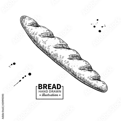 Baguette bread vector drawing. Bakery product sketch. 