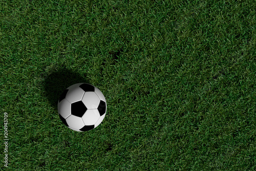 3D rendering soccer ball on green grass © sorawatfotolia
