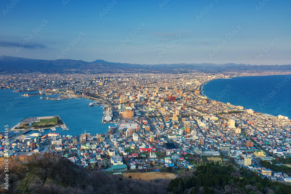 cityscape view from Mount Hakodate