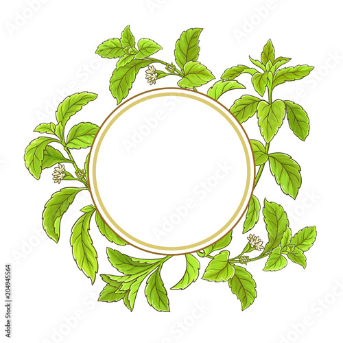 stevia branch vector frame