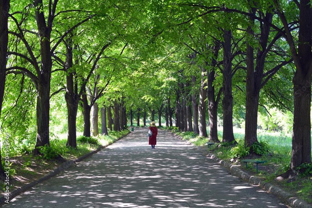 a woman in a red raincoat and hat is standing on a lime avenue