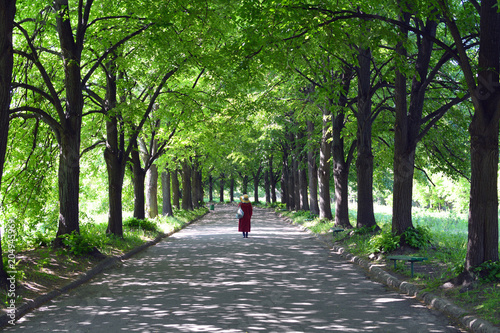 Wallpaper Mural a woman in a red raincoat and hat is standing on a lime avenue Torontodigital.ca