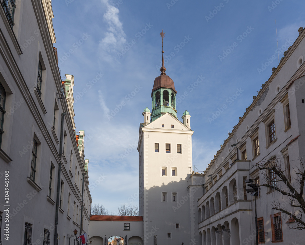 Naklejka premium Szczecin in Poland / Panorama of the castle and historical part of the city