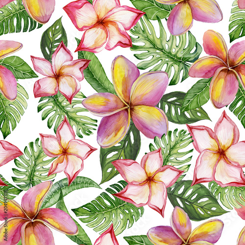 Exotic plumeria flowers and green monstera leaves on white background. Seamless tropical pattern in vivid colors. Watercolor painting. Hand painted floral illustration.