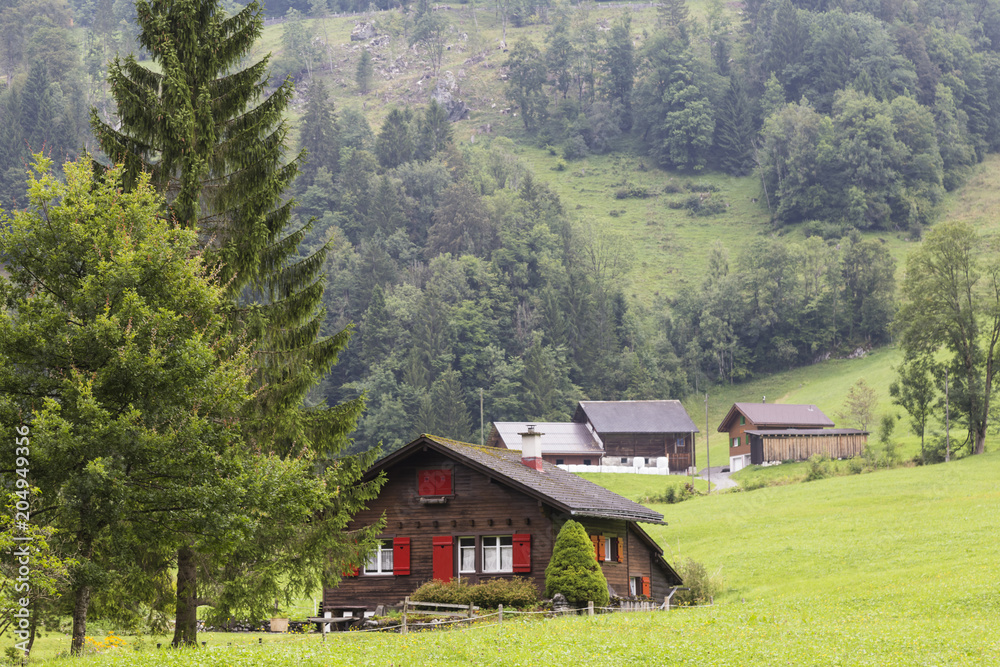  Alpine village. Swiss Alps at summer. Switzerland.