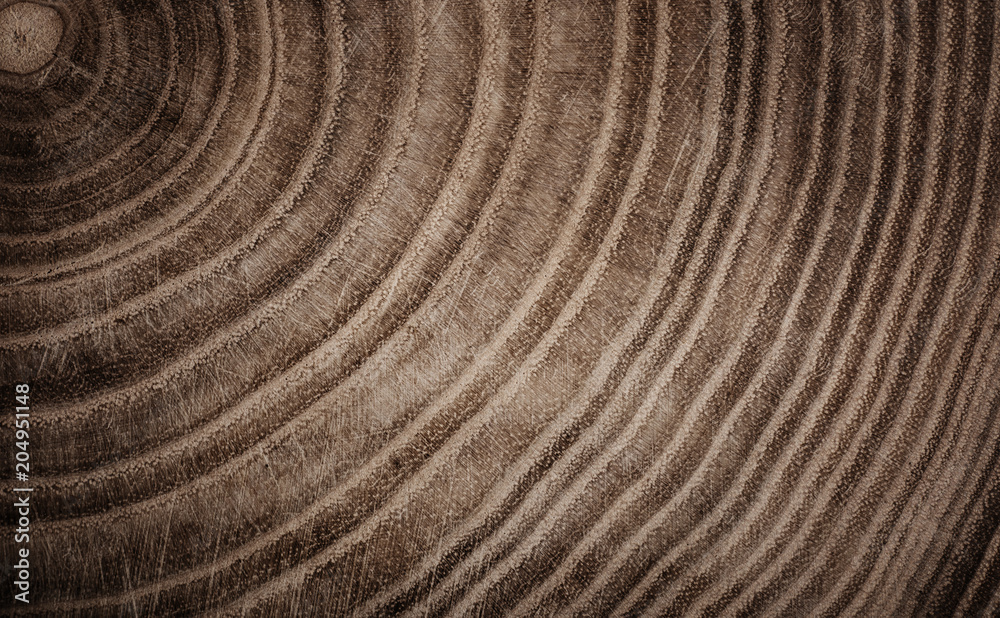 Stump of tree felled - section of the trunk with annual rings. Slice wood. Stump of tree felled - section of the trunk with annual rings. Slice wood.