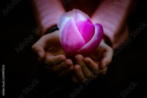 Fairytale magnolia flower luminous in child's hands in the dark night photo